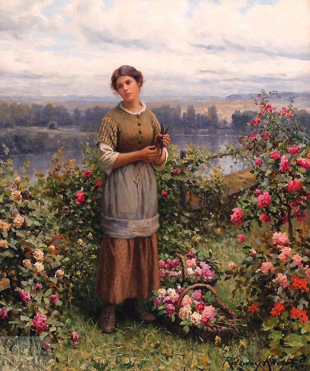 Daniel Ridgeway Knight Julia Gathering Roses Norge oil painting art